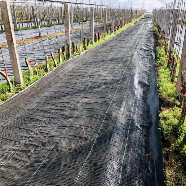 product-600-600 product-600-600